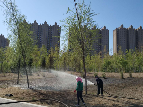 首页- 尊龙集团中国官方网站