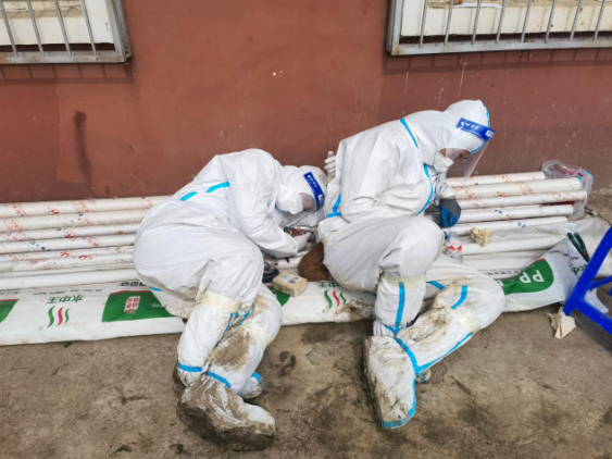 首页- 尊龙集团中国官方网站