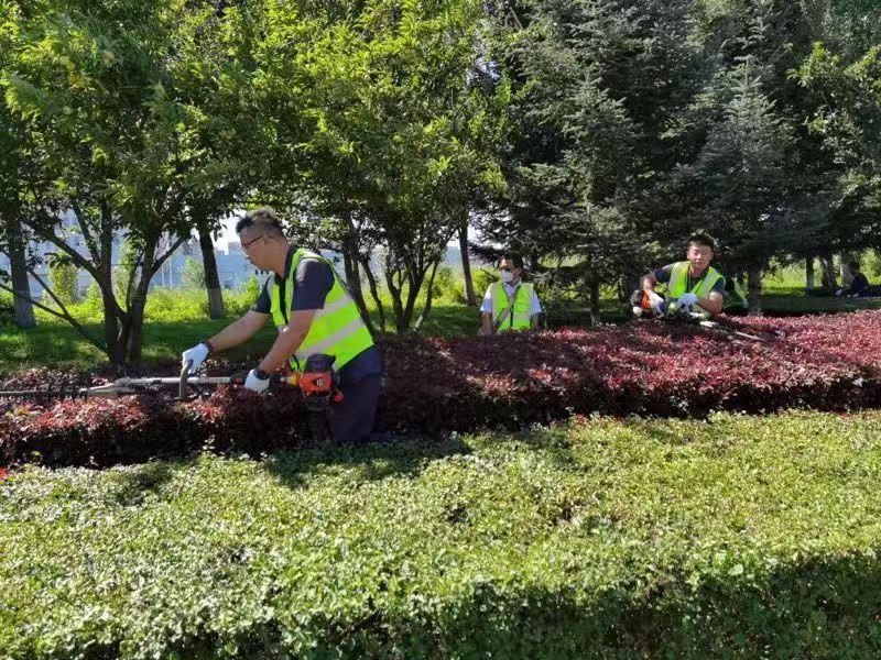 首页- 尊龙集团中国官方网站